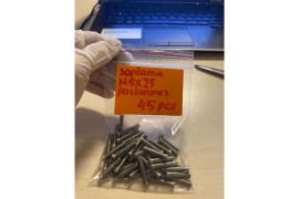 Saplama M5X25 Paslanmaz